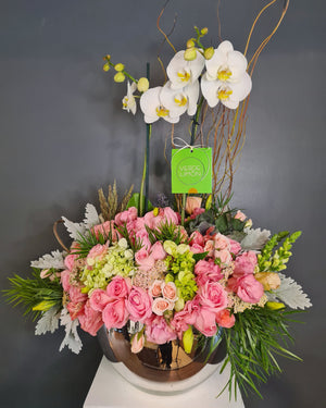 Orquídea doble con jardín frondoso de flores