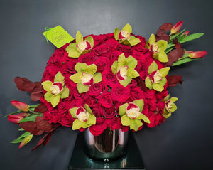 200 rosas, tulipanes y orquídeas cymbidium CONTACTANOS PARA COMPRAR WA 2311113037